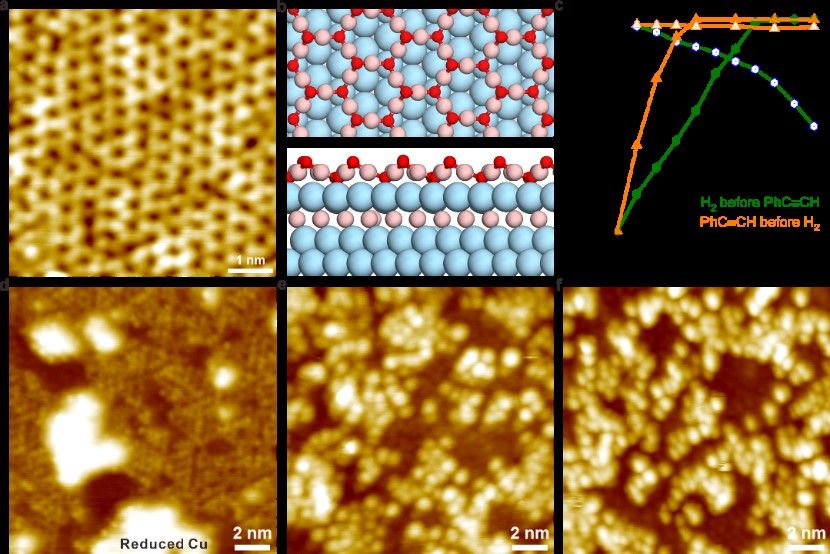 nature commun 202205 郑南峰 图片.jpg